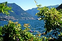 Lago di Como_084